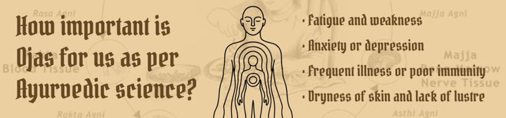 How to Boost Ojas (Vital Immunity) by Burning Specific Herbs