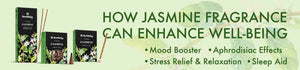 Why Jasmine Fragrance therapeutically ideal for Meditation