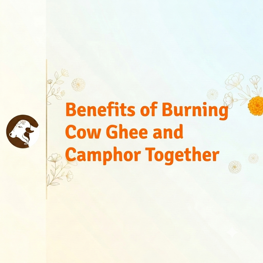 Benefits of Burning Cow Ghee and Camphor Together