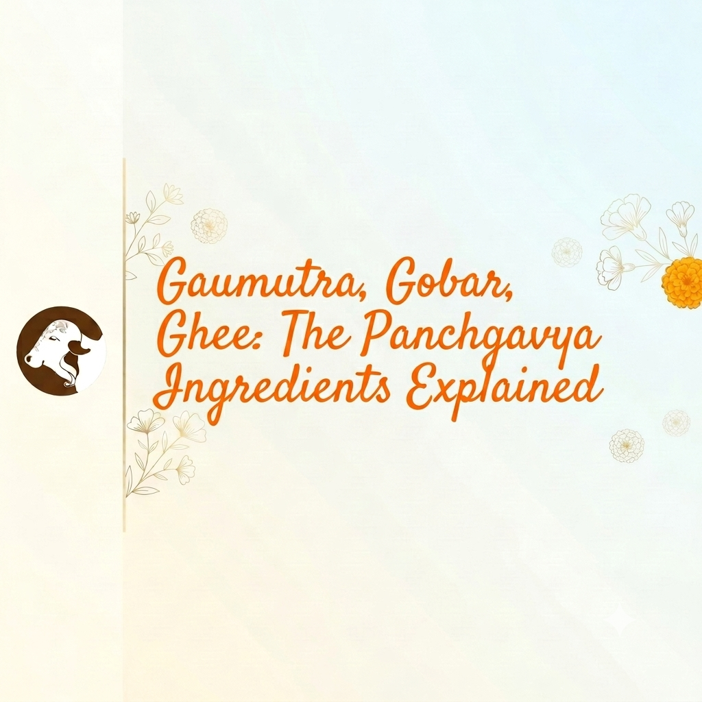 Gaumutra, Gobar, Ghee: The Panchgavya Ingredients Explained