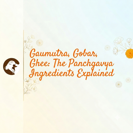 Gaumutra, Gobar, Ghee: The Panchgavya Ingredients Explained
