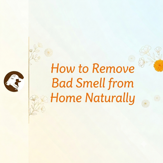 How to Remove Bad Smell from Home Naturally