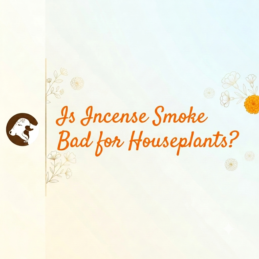 Is Incense Smoke Bad for Houseplants?