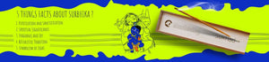 Janmashtami 2024 Celebration with Surbhika Handmade Premium Masala Incense Stick
