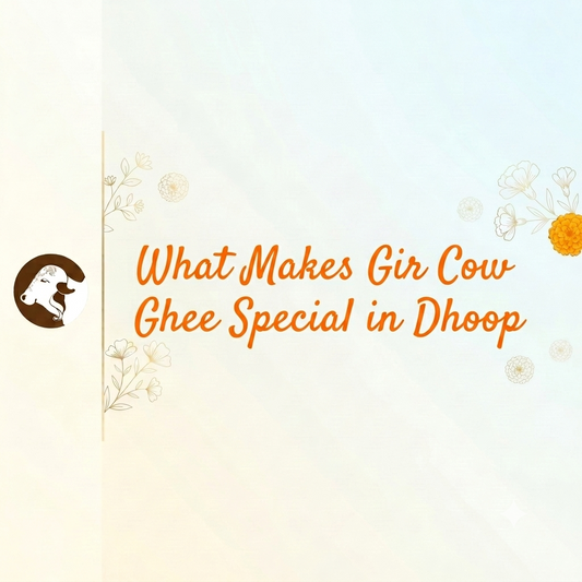What Makes Gir Cow Ghee Special in Dhoop - Surbhika Panchagavya Based Natural Dhoop Sticks 