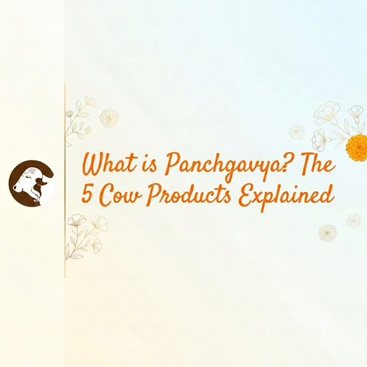 What is Panchgavya? The 5 Cow Products Explained
