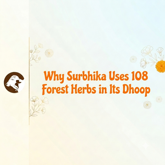 Why Surbhika Uses 108 Forest Herbs in Its Dhoop - Surbhika Incense Dhoop Made by Natural Herbs