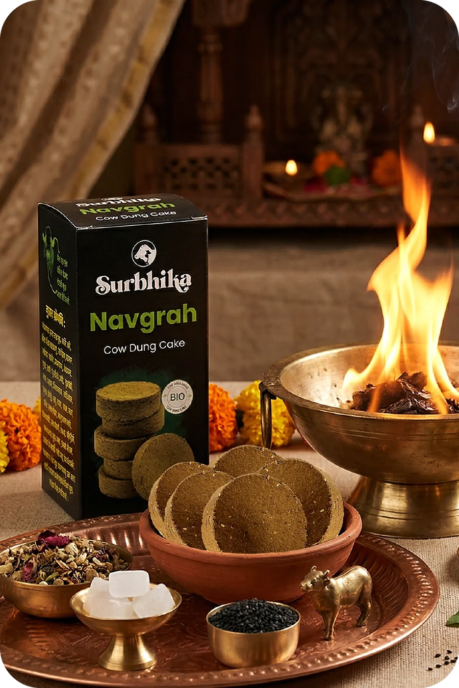 Yagya / Havan