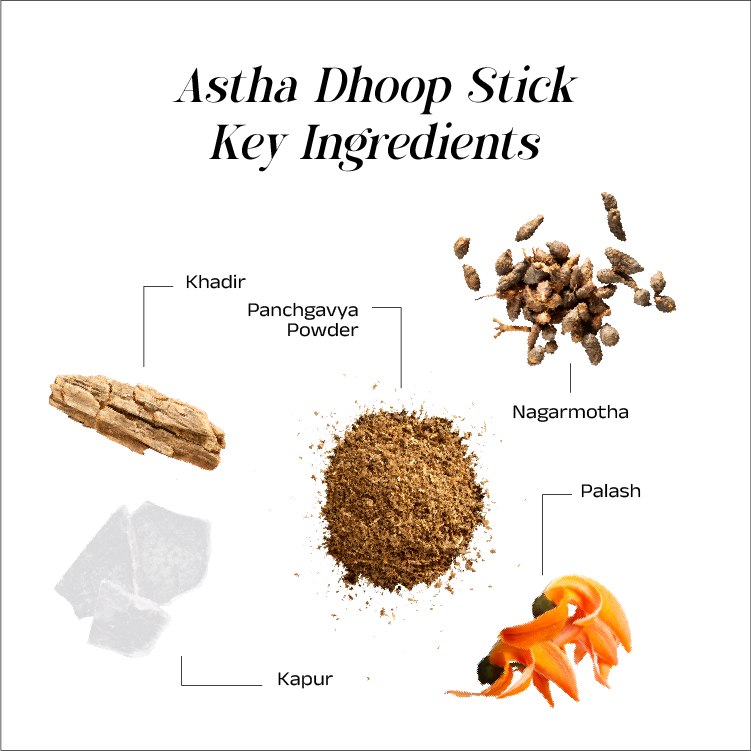 Astha Premium Bambuless Dhoop Sticks 4 Inch with Stand
