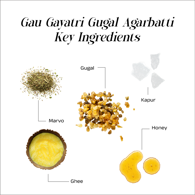 Gau Gayatri Gugal Incense Stick