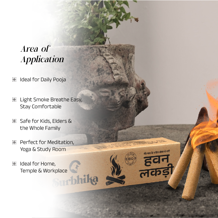 Havan Lakdi