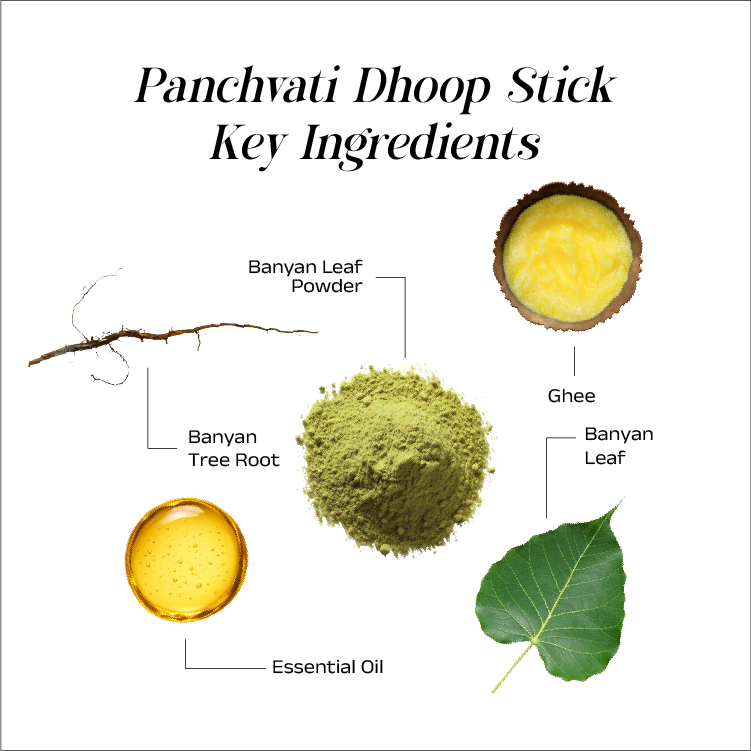 Pandadi Premium Bamboo less Dhoop Sticks 6 Inch
