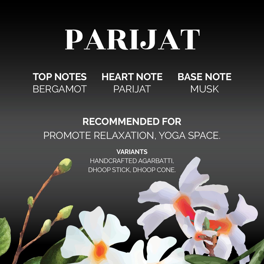Parijat Dhoop Cone