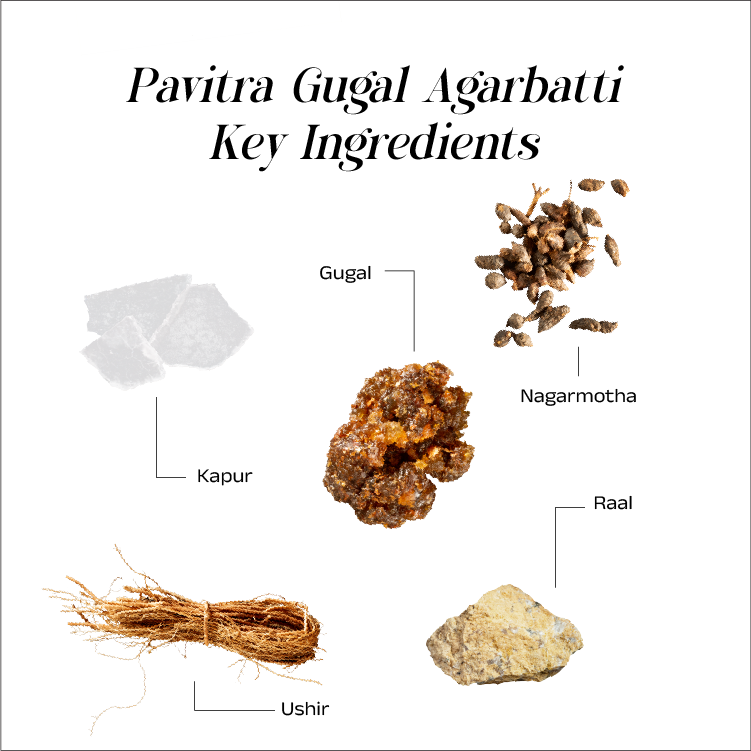 Pavitra Gugal Premium Incense Stick